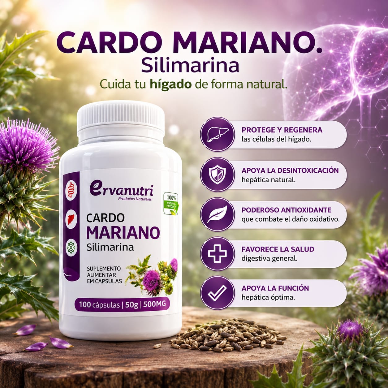 Cardo Mariano