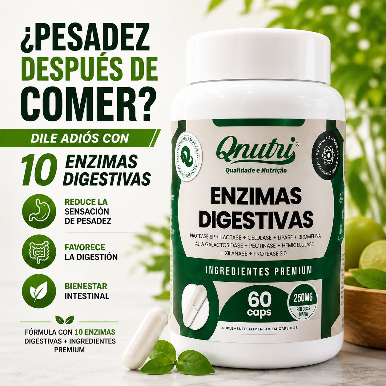 Enzimas Digestivas
