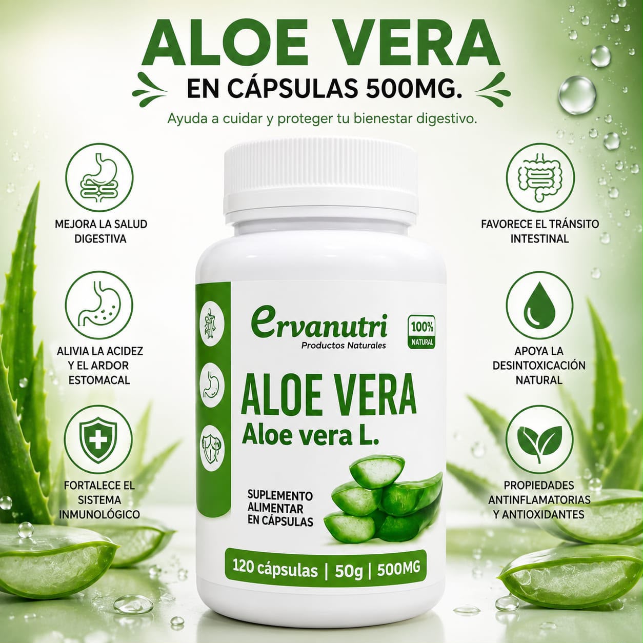 Aloe Vera