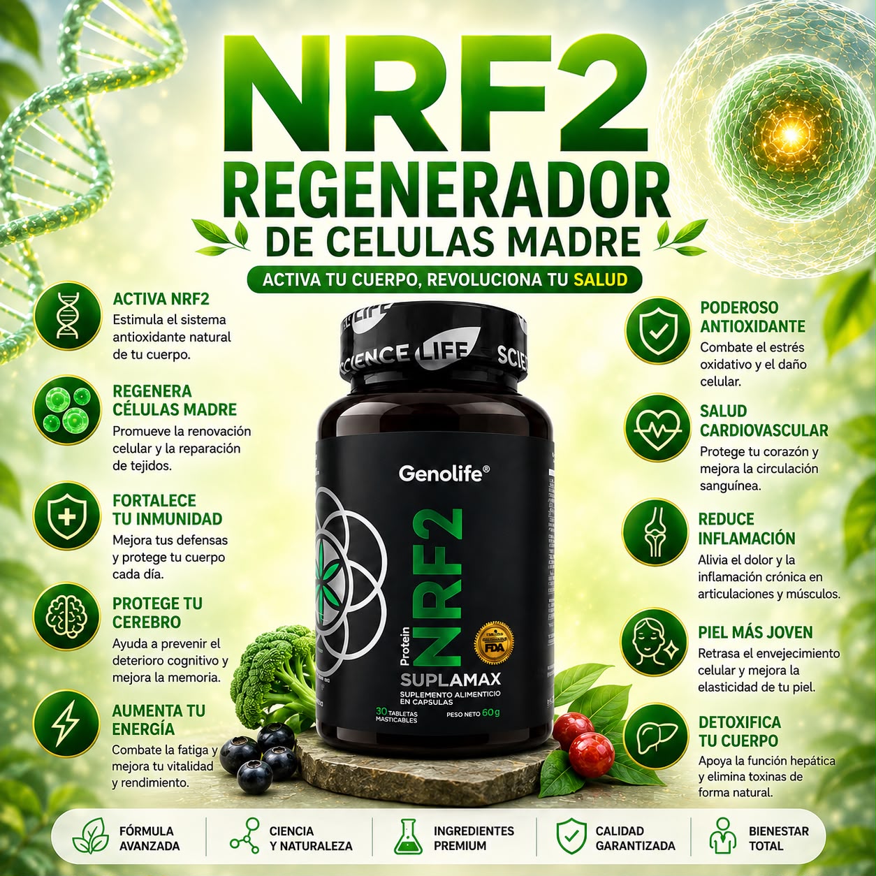 NRF2 Suplamax